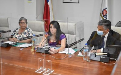Gobierno Regional del Maule conforma Comité Regional de Ciencia, Tecnología e Innovación
