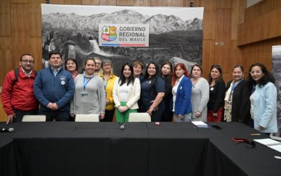 Consejo Regional del Maule financiará mejoramiento de vías urbanas para Chanco