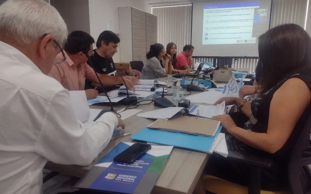 Consejo Regional del Maule sostiene encuentro para conocer los avances de la ERD Maule 2042.   